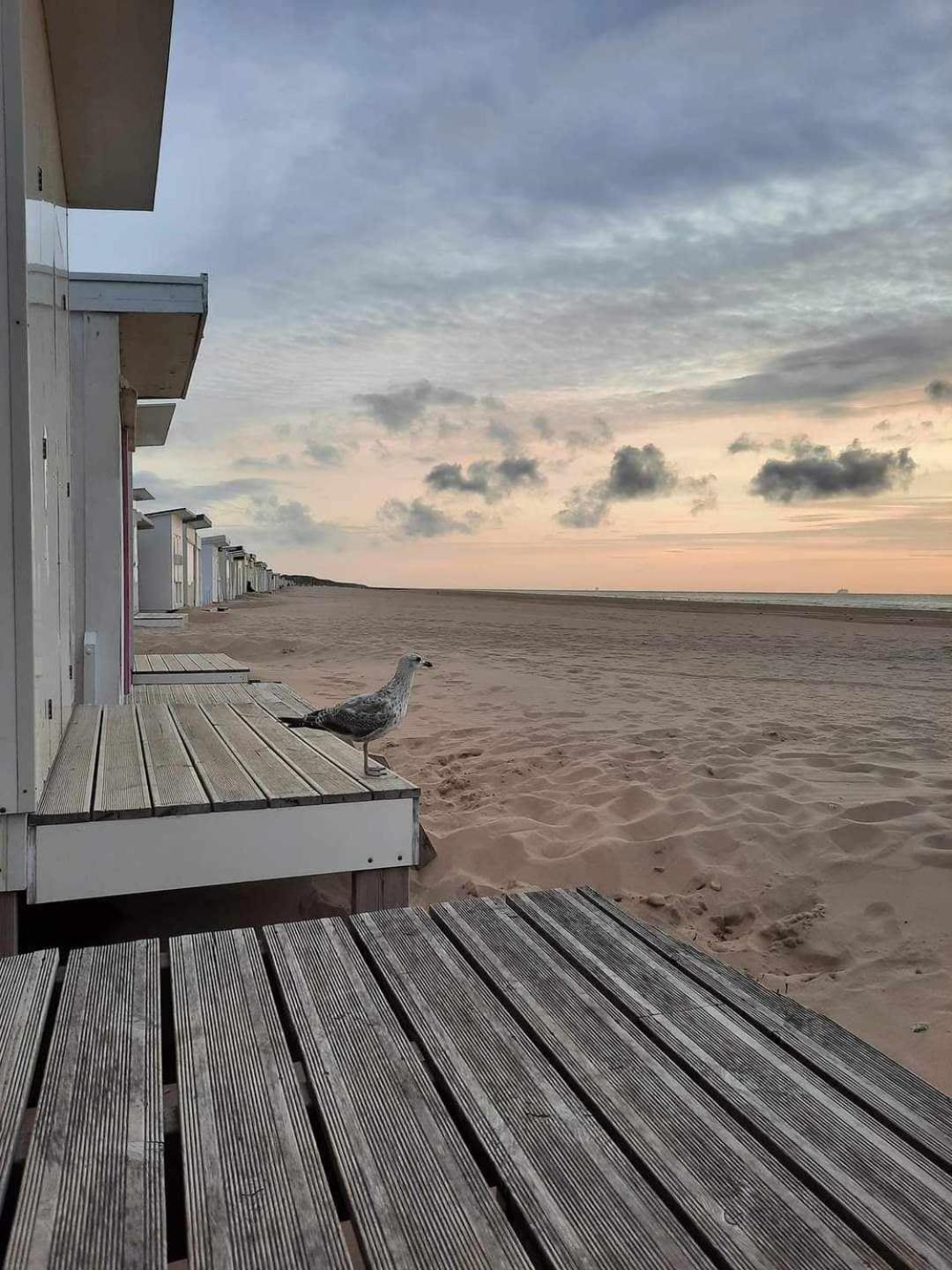 Calais Plage-Gare Appartement Elegant Tout Equipe Εξωτερικό φωτογραφία